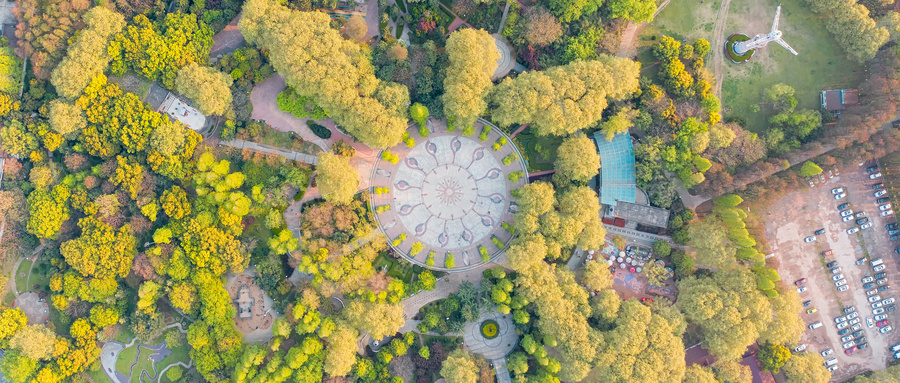 摄图网_501234466_wx_俯瞰绿树环绕的城市小区绿化景观（非企业商用）.jpg