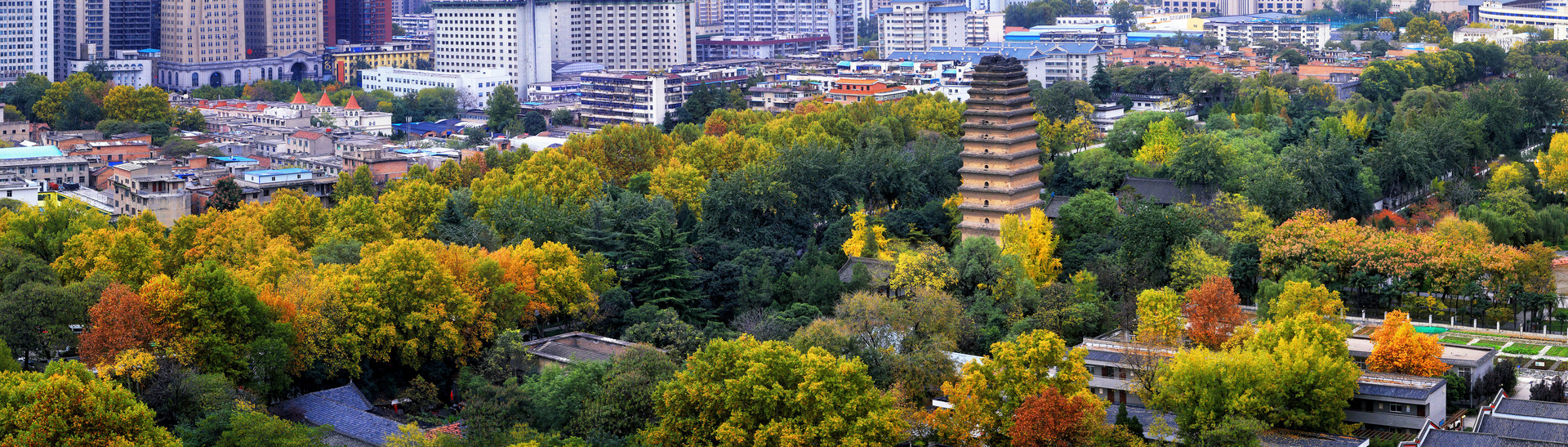 摄图网_500723124_banner_西安古城小雁塔秋色全景（非企业商用）.jpg